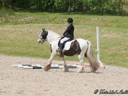 img-99771-621